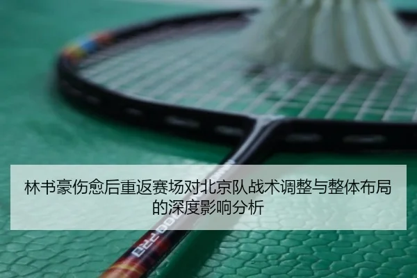 林书豪伤愈后重返赛场对北京队战术调整与整体布局的深度影响分析