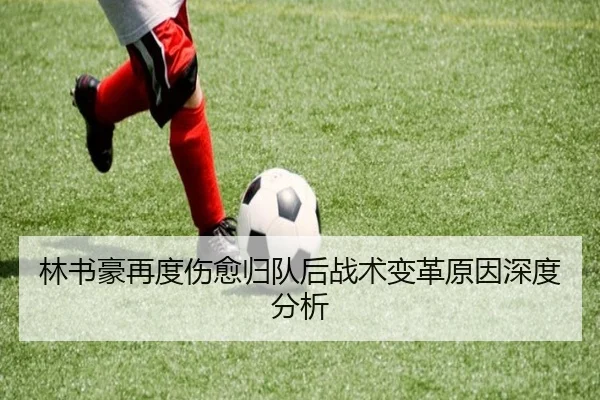 林书豪再度伤愈归队后战术变革原因深度分析