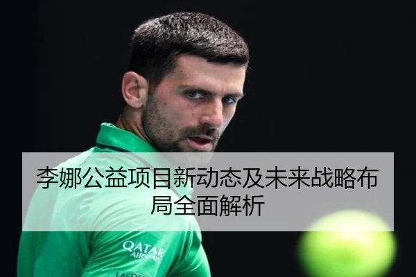 李娜公益项目新动态及未来战略布局全面解析